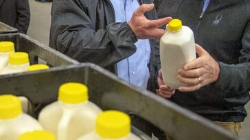 What is the price of milk in 2021?