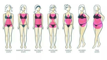 What is the rarest body shape?