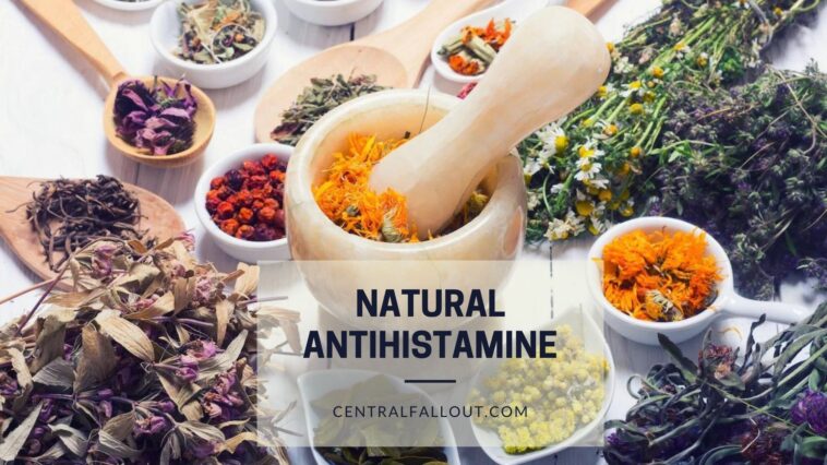 What is the strongest natural antihistamine?