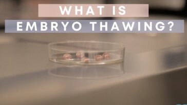 What is the thawing process?