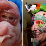 What is the weirdest fact Ever?