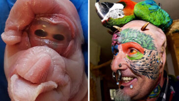 What is the weirdest fact Ever?