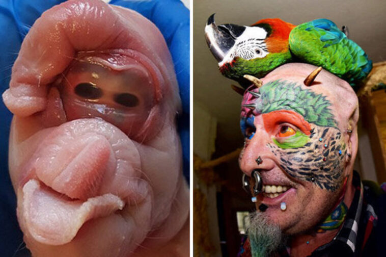 What is the weirdest fact Ever?