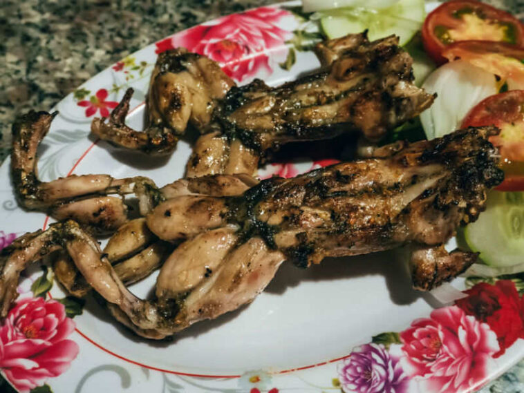 What is the weirdest food in the world?