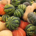 What is toxic squash syndrome?