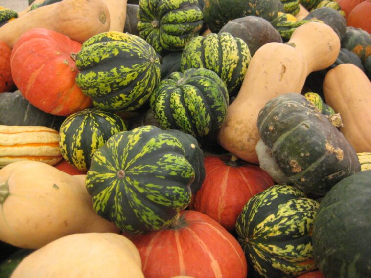 What is toxic squash syndrome?