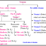 What is vitamin C scientific name?