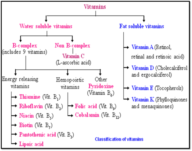 What is vitamin C scientific name?