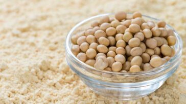 What is wrong with soy protein?
