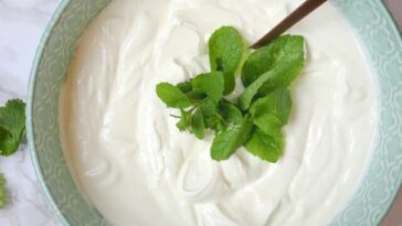What kind of Greek yogurt is allowed on Mediterranean diet?
