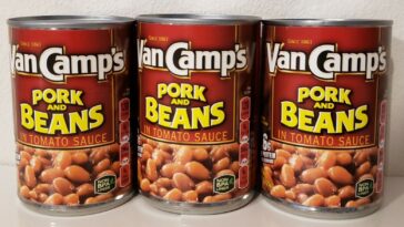 What kind of beans are in Van Camps pork and beans?