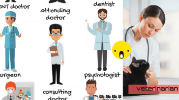 What kind of doctor treats the whole body?