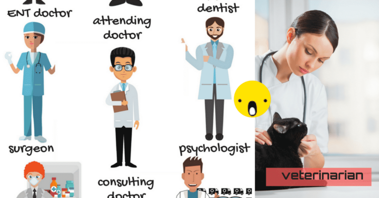 What kind of doctor treats the whole body?