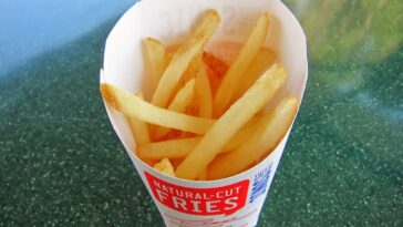What kind of fries does Sonic have?