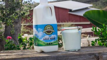 What kind of milk do I use to make kefir?