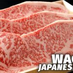What makes the most expensive meat from Japan?