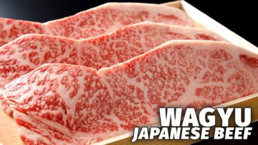 What makes the most expensive meat from Japan?
