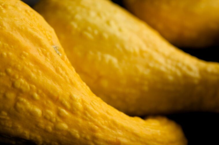 What makes yellow squash skin tough?