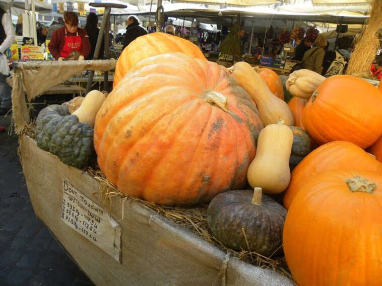 What meat goes with pumpkin?