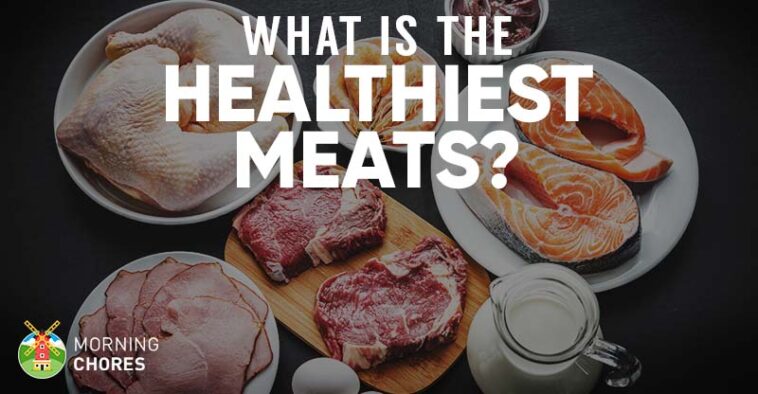 What meat is healthiest?