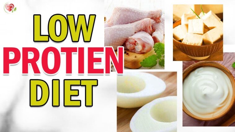 What meat is lowest in protein?