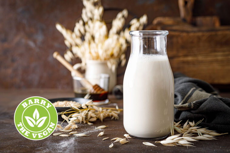 What milk has the most protein?