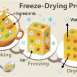 What nutrients are lost during freeze-drying?