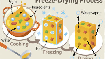What nutrients are lost during freeze-drying?