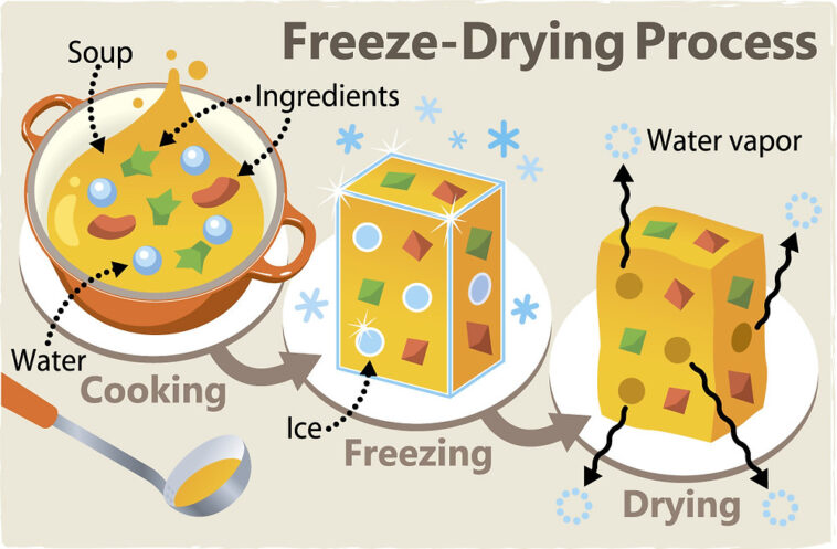 What nutrients are lost during freeze-drying?