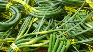 What part of frisée do you eat?