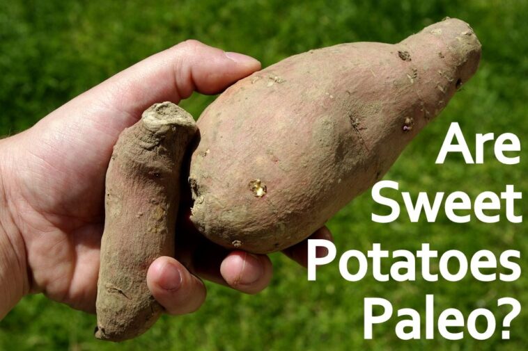 What potatoes are considered paleo?