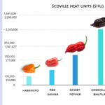 What rank is the ghost pepper?