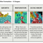 What removes biofilm from clothes?
