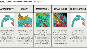 What removes biofilm from clothes?
