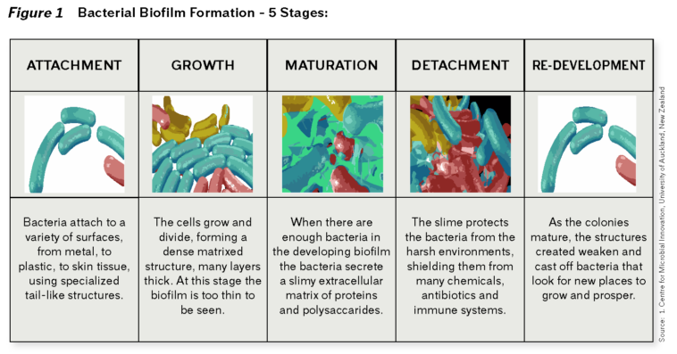 What removes biofilm from clothes?