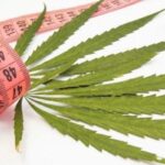 What seeds make you gain weight?