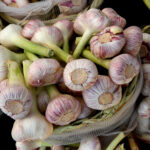 What should I do if I ate too much garlic?