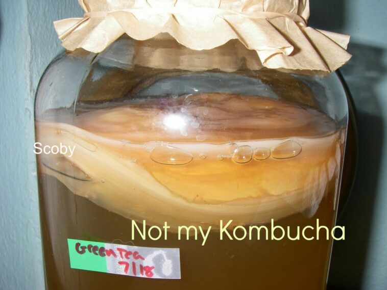What should I name my kombucha?