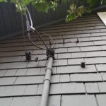 What should I serve as guest drop?