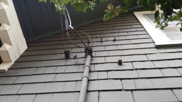 What should I serve as guest drop?