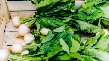 What should not be eaten with radish?