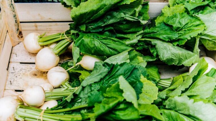 What should not be eaten with radish?
