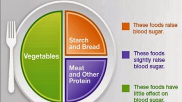 What should on your plate for weight loss?