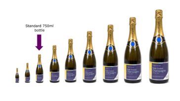 What size is a mini bottle?