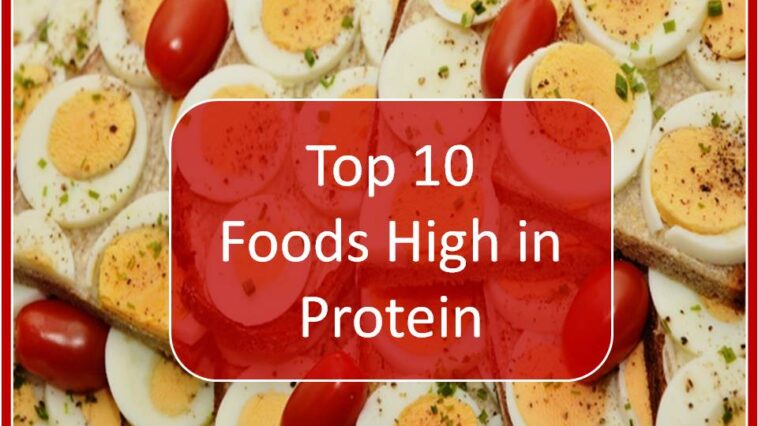 What snacks are high in protein?
