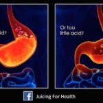 What soaks up acid in your stomach?