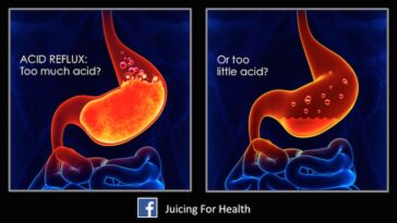 What soaks up acid in your stomach?