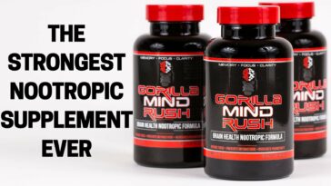 What supplement is best for focus?