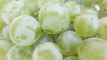 What time is best to eat grapes?
