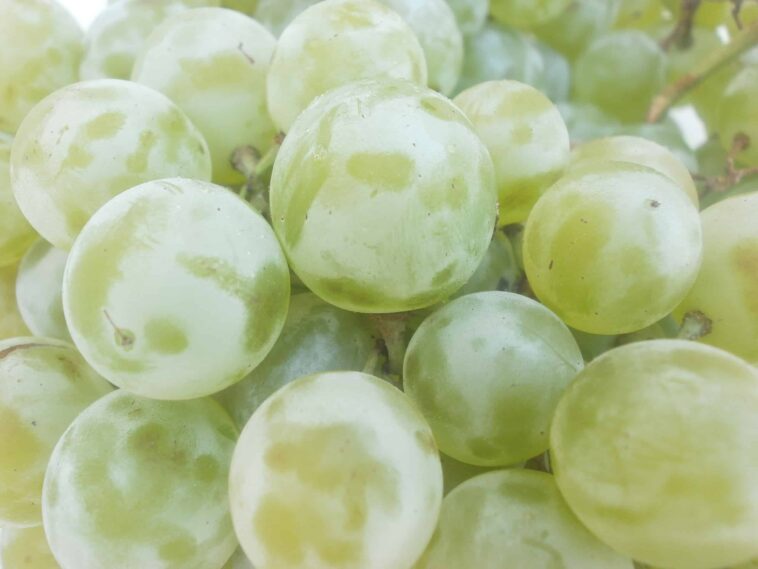 What time is best to eat grapes?